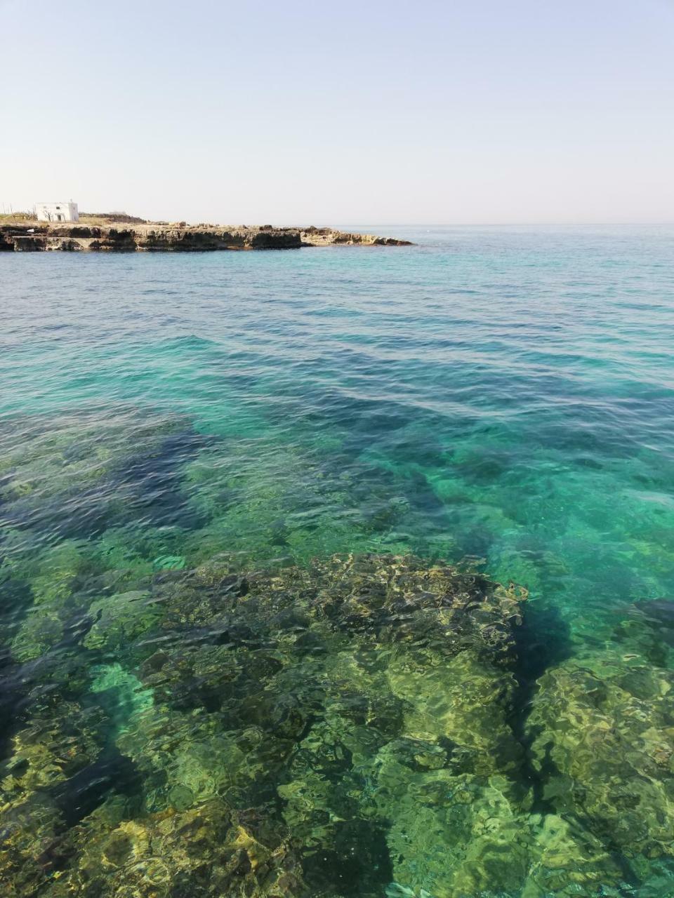 Villa Torto Monopoli Bagian luar foto